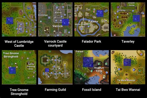 fruit tree patches osrs|osrs fruit tree patches locations.